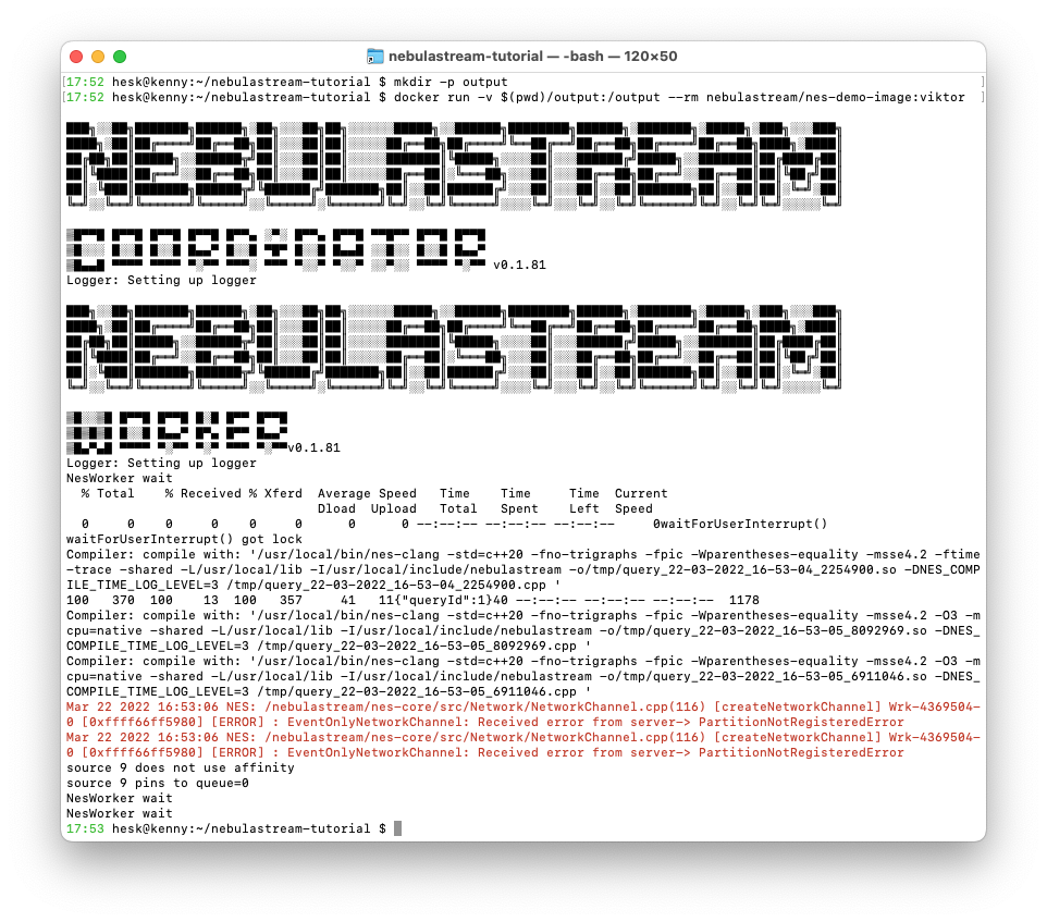 Output of running the <code>nebulastream/nes-demo-image</code> Docker container