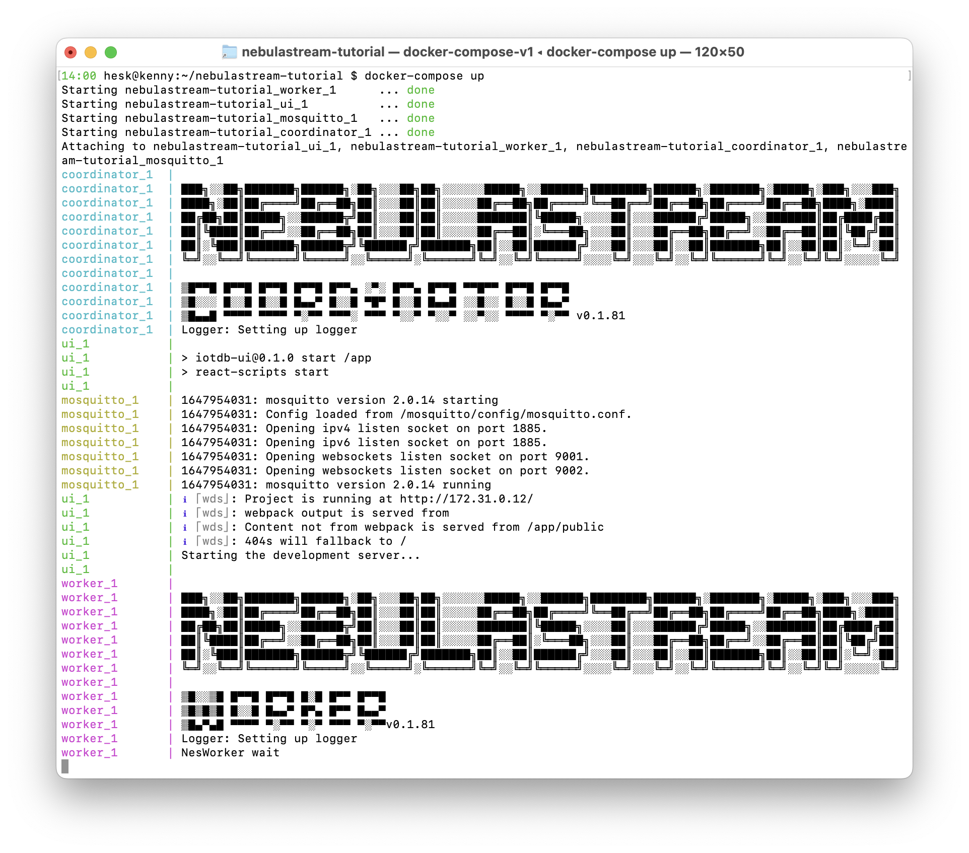 Output of running <code>docker-compose up</code>. The NebulaStream coordinator and worker banner are shown.